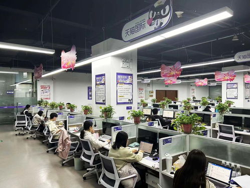 揚州天貓國際自營服務中心迎咨詢高峰，300名大學生支援客服工作