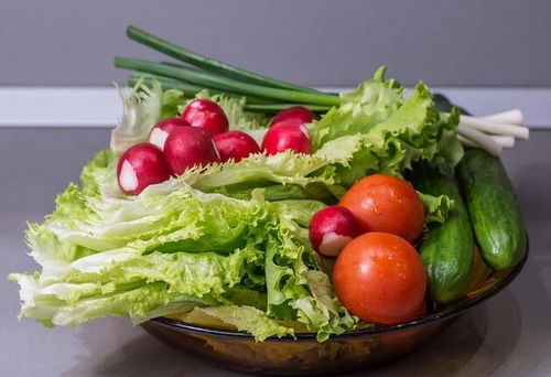 積食肚子脹不消化怎么辦？全方位消食指南與運(yùn)動(dòng)營(yíng)養(yǎng)策略